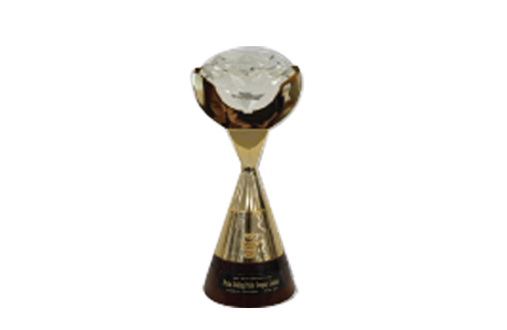 “Diamond” International Quality Management Awards (the highest award)