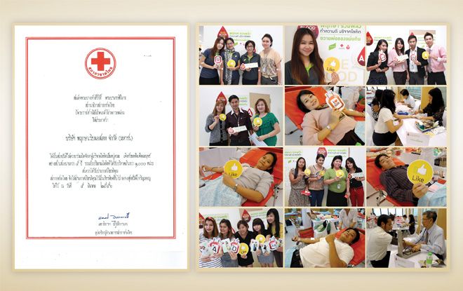 พฤกษา รับประกาศเกียรติคุณชั้นสามัญ